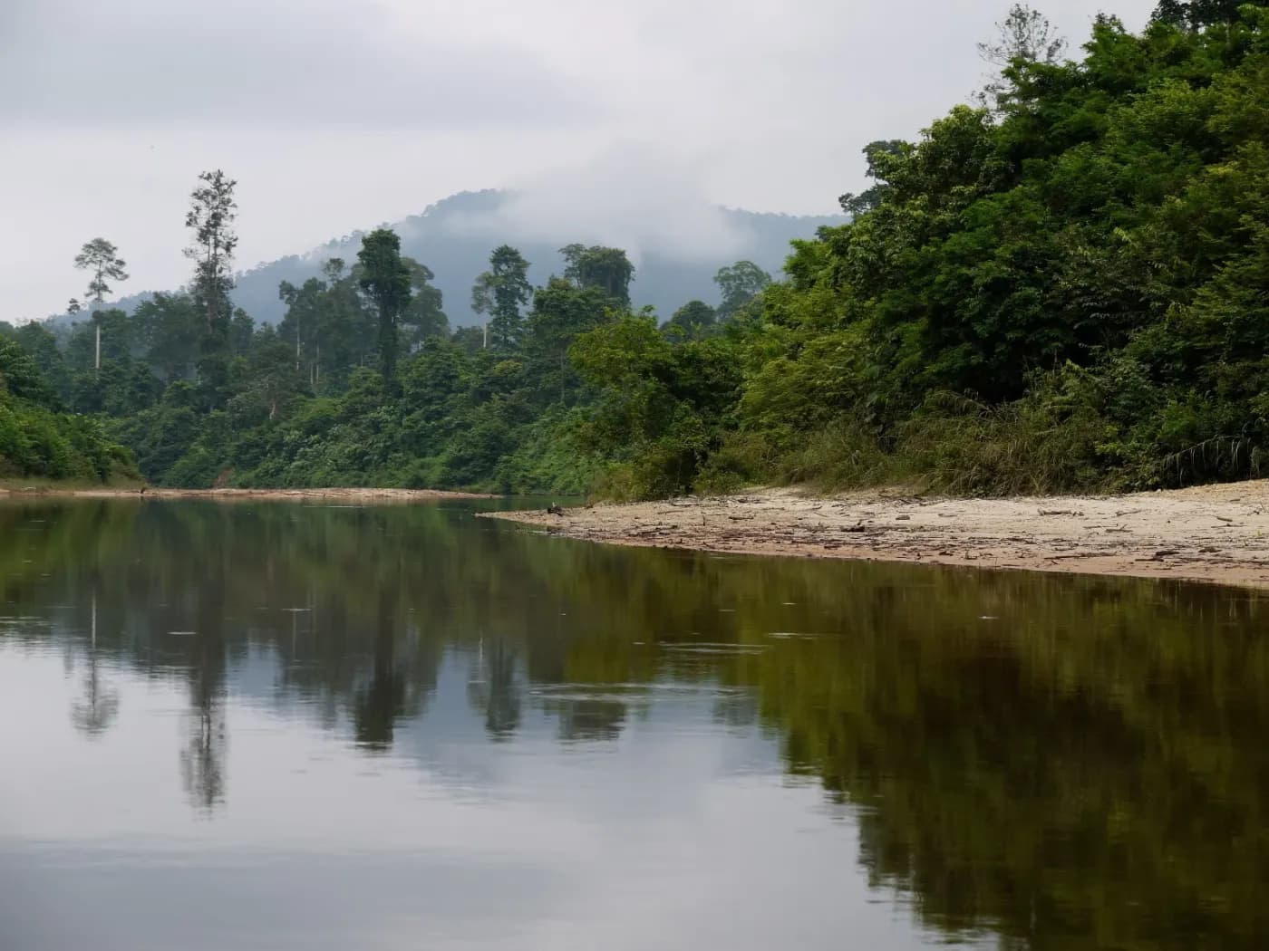 The Endau River beside rainforest at Kampung Peta in Endau-Rompin