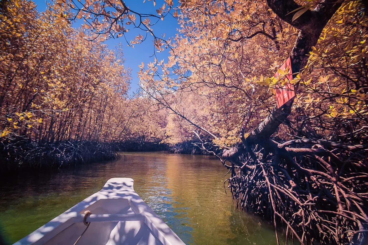 A boat entering a mangrove waterway in Kilim Karst Geoforest Park, Langkawi